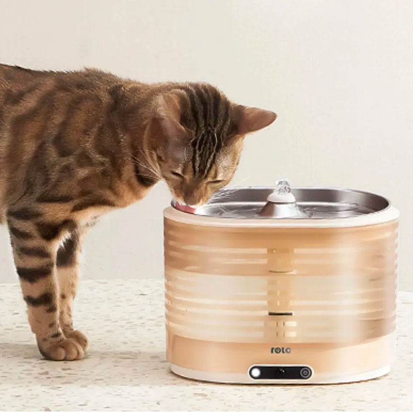 ENABOT DISPENSADOR DE AGUA INTELIGENTE