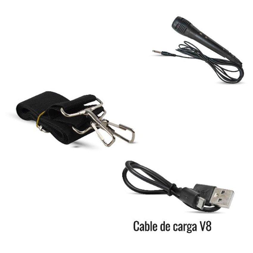 LINKBITS BAFLE 8" RECARGABLE RADIO FM USB