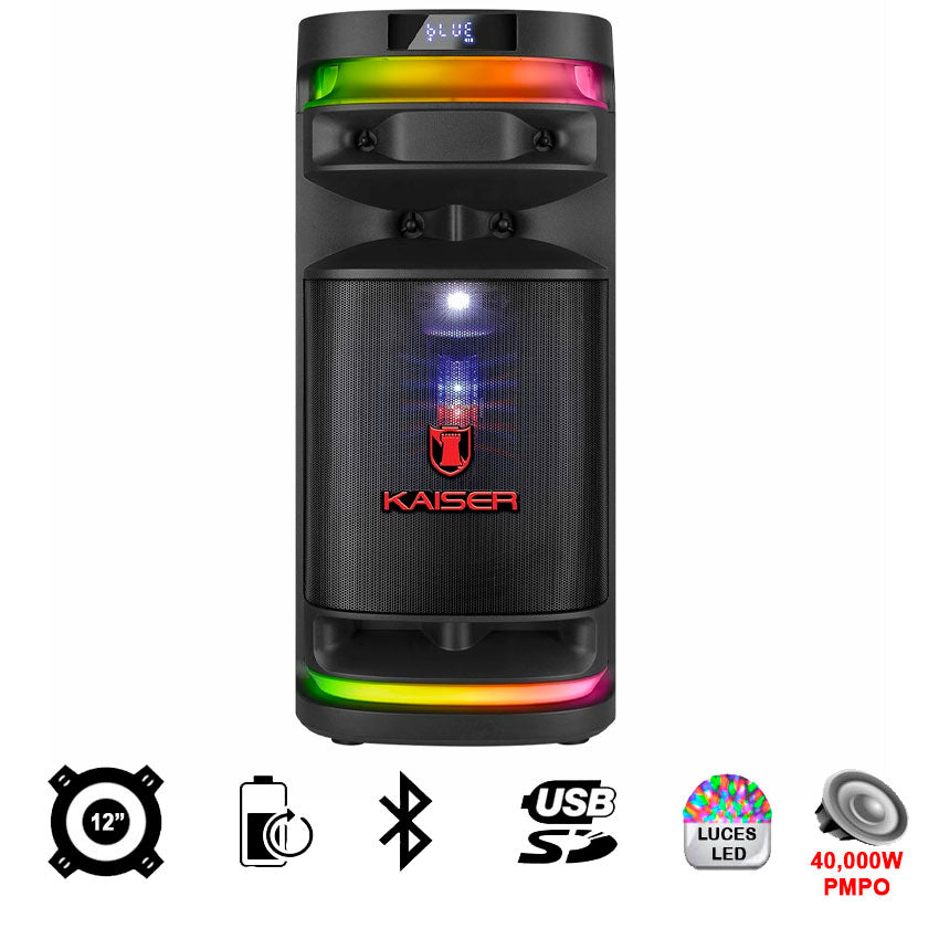 BAFLE KSR ONE BODY 12"