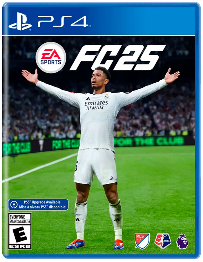 PS4 FC25 STANDARD EDITION