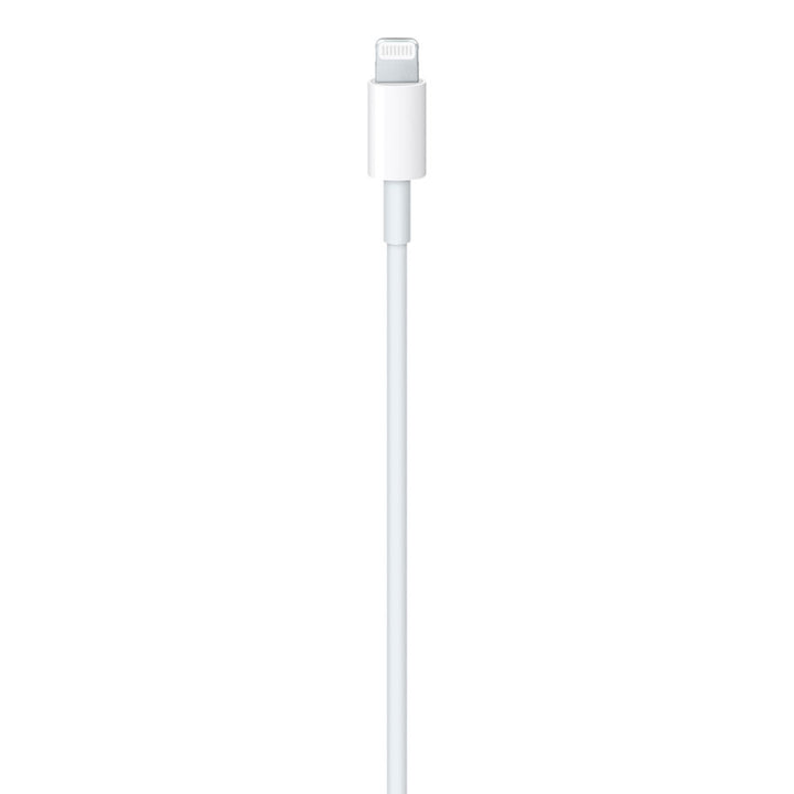 APPLE CABLE USB TIPO "C" A USB LIGHTNING