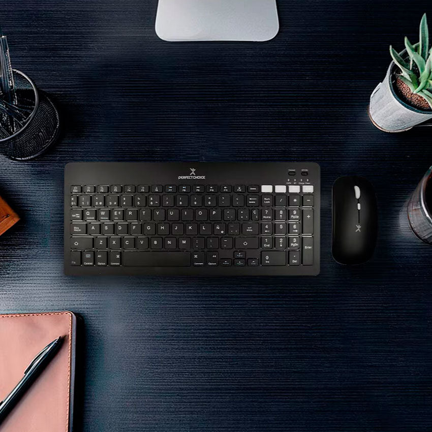 TECLADO Y RATON INAL. PERFECT CHOICE
