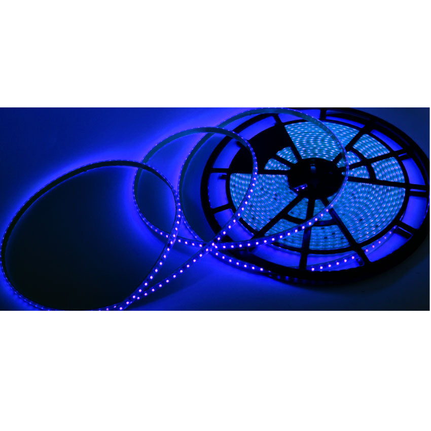 Tira de Luces Led 10m Azul Tianlai