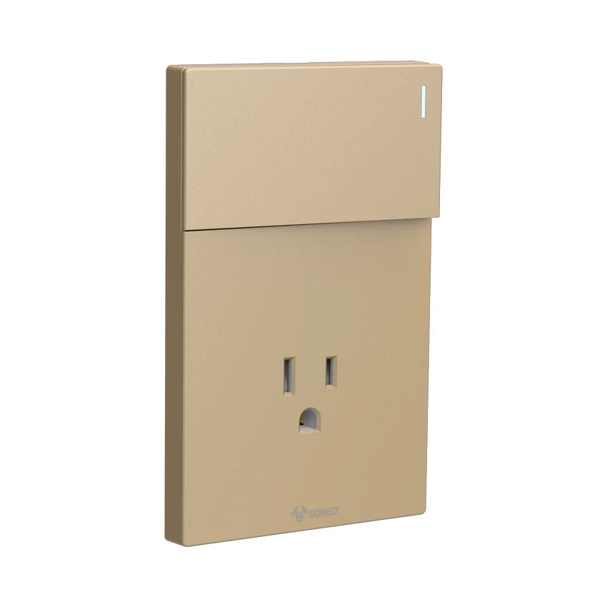 Interruptor y Tomacorriente 1 y 1 Dorado Goneo