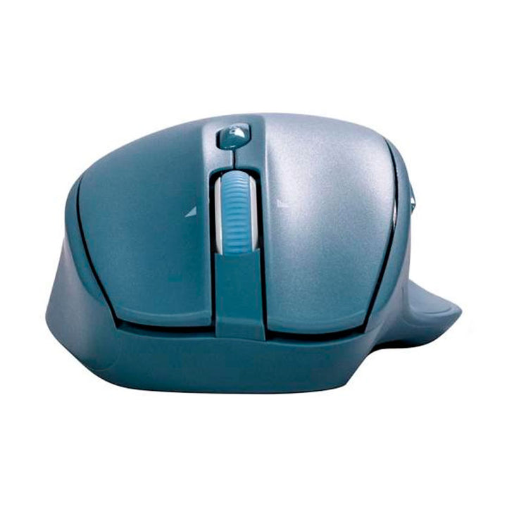 MOUSE INAL. NACEB
