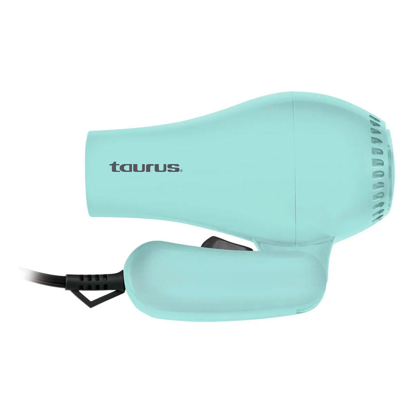 TAURUS SECADORA DE CABELLO MENTA