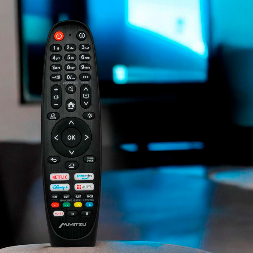 CONTROL REMOTO MITZU PARA TV LG